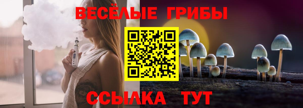 Псилоцибиновые грибы Psilocybe Изобильный